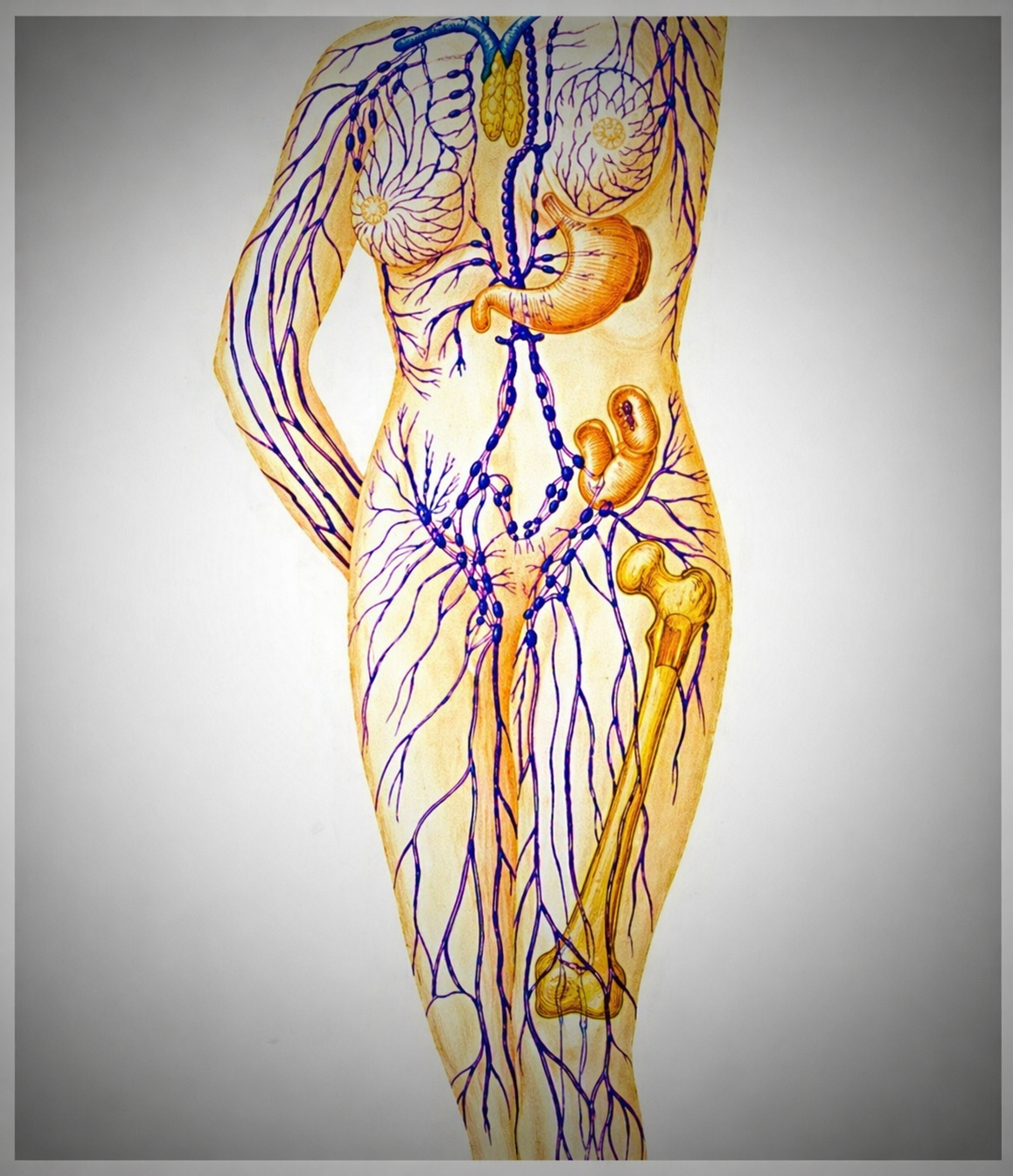 Manuelle Lymphdrainage